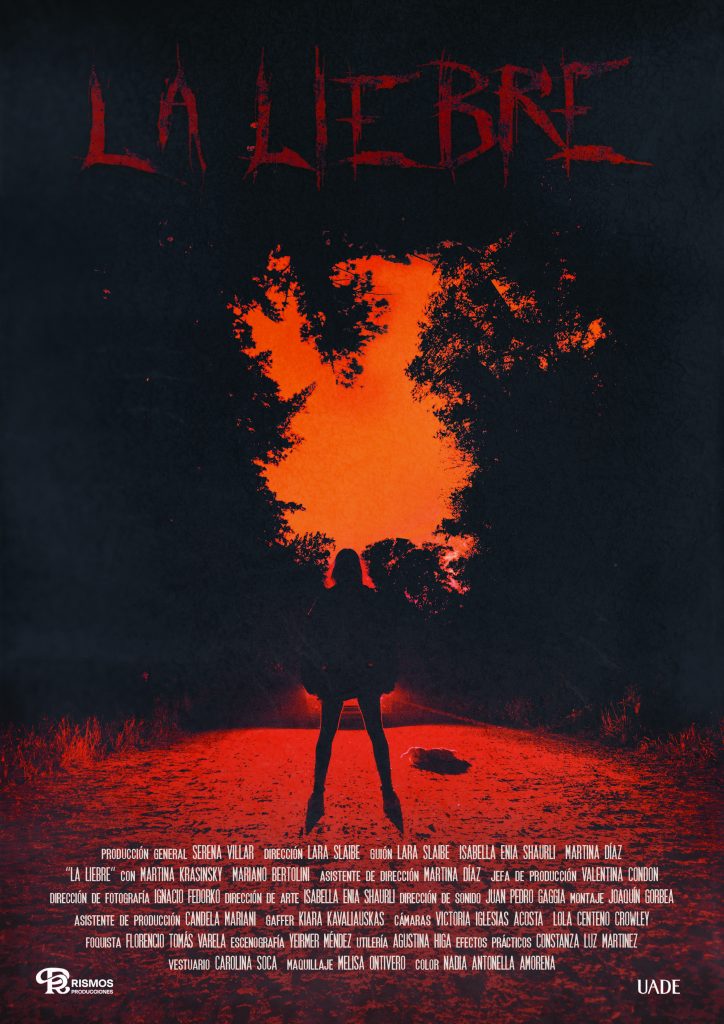 Póster de la pelicula